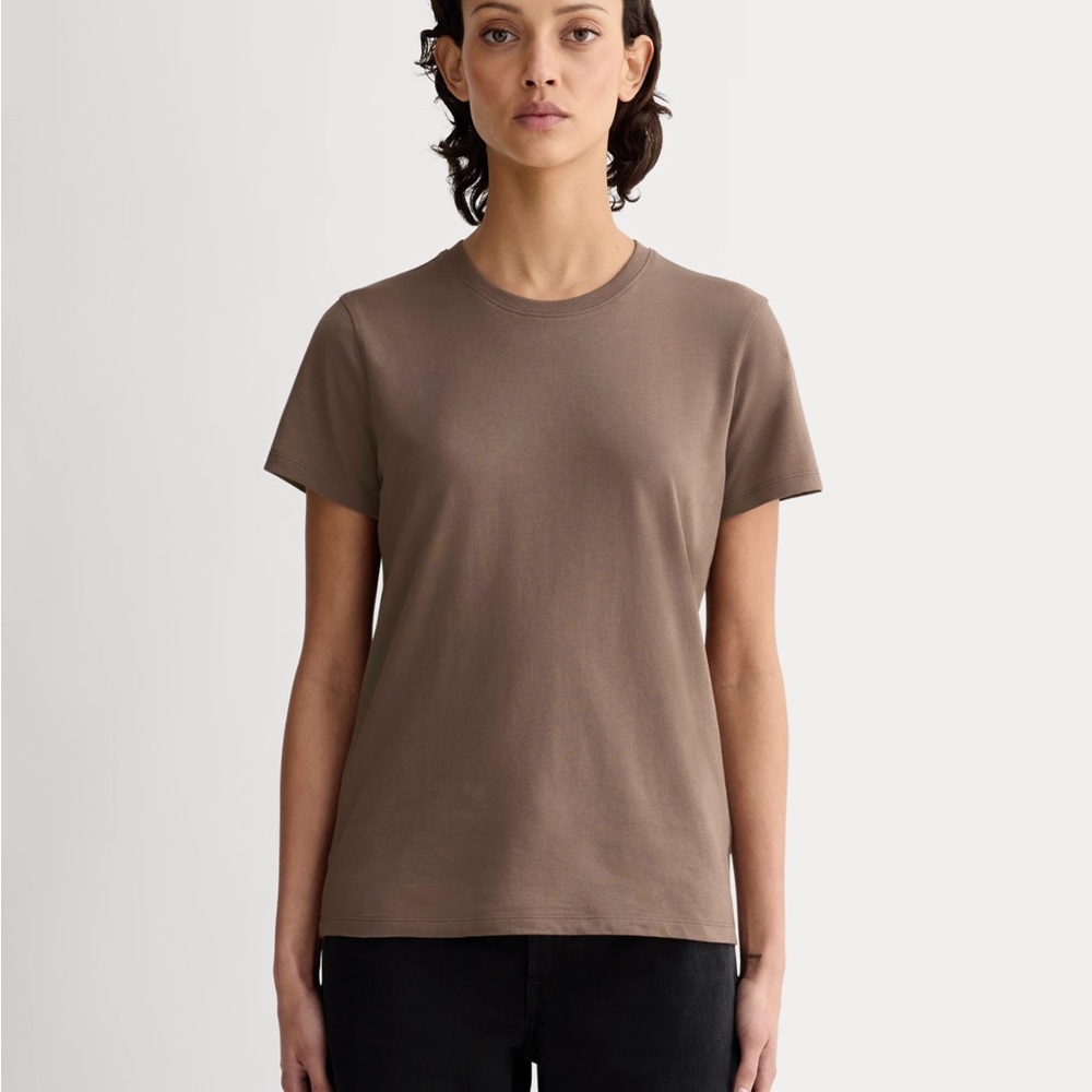 Everlane Slim Crew T-Shirt in “clay”